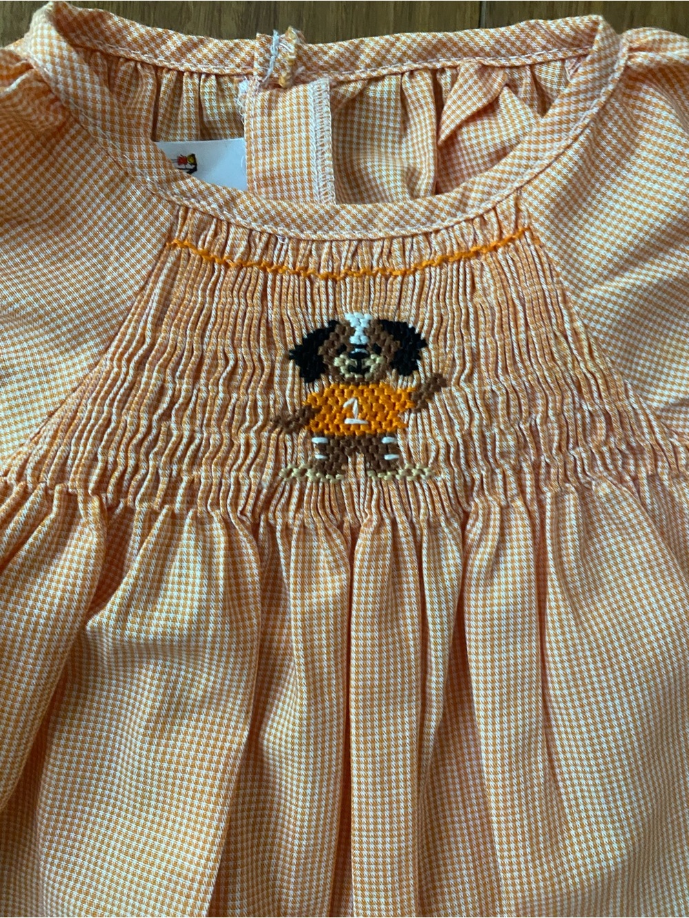 Kids Orange Gingham Smocked Dress with coon dog puppy Embroidered on the front